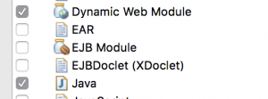 select-dynamic-web-module